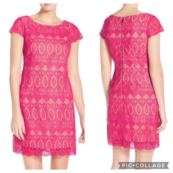 Eliza J Scalloped Lace Sheath 16 Lined Dress